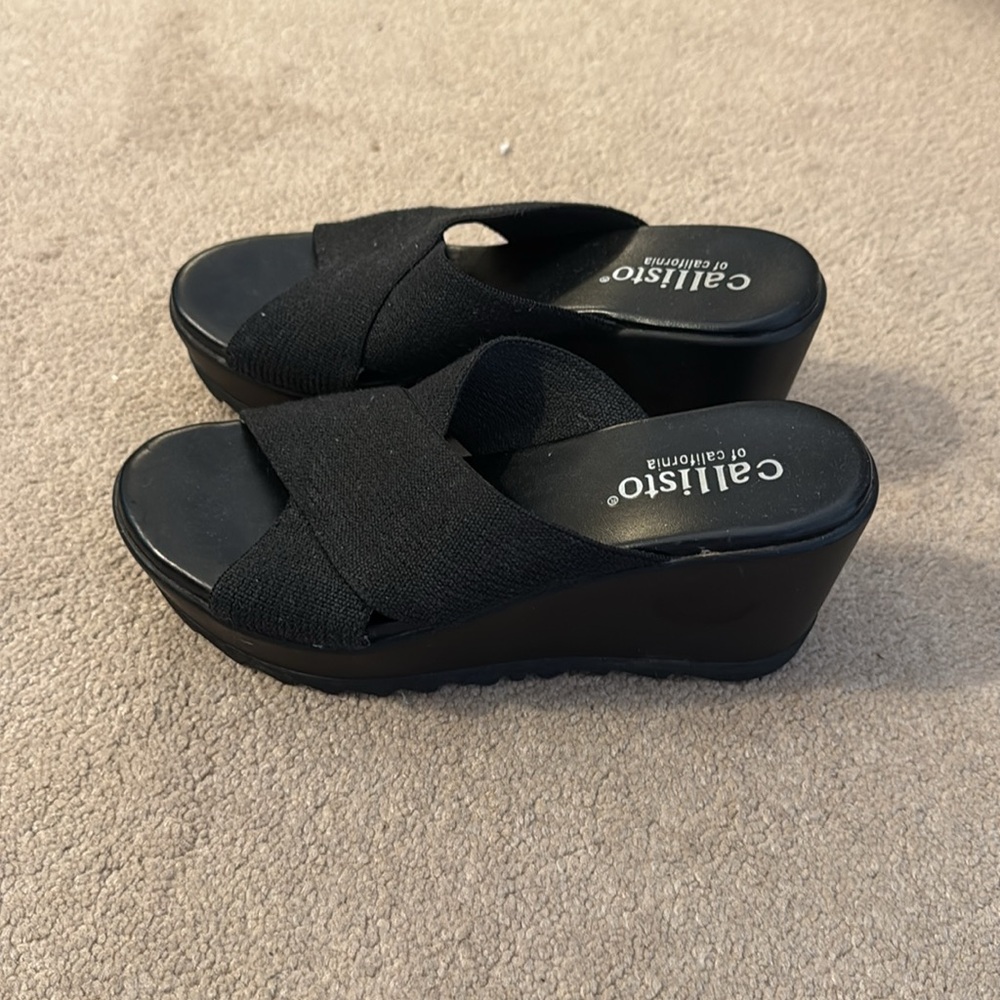 Callisto platform slides. - Picture 2 of 6